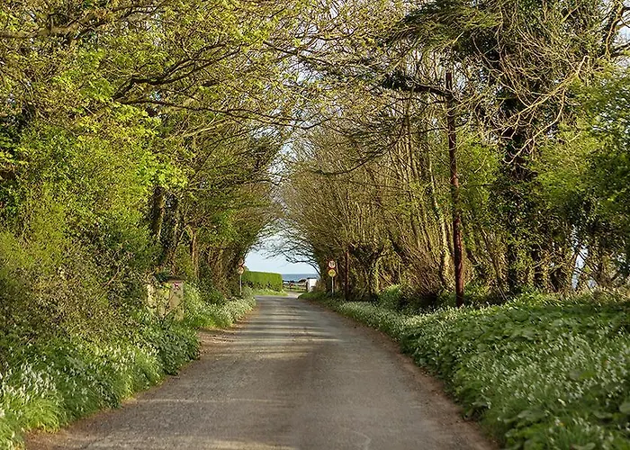 Апартаменты The Moat On The Greenway Дангарван